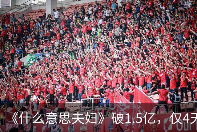 《什么意思夫妇》破1.5亿，仅4天已回本，沈春阳导演未来可期
