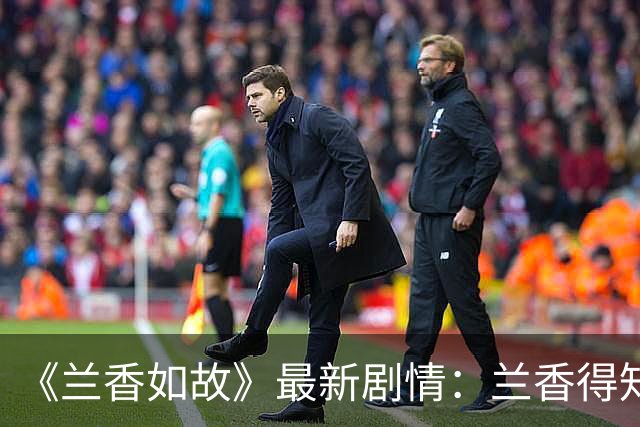 《兰香如故》最新剧情：兰香得知8年前林锦岐为沈家收尸，彻底心动