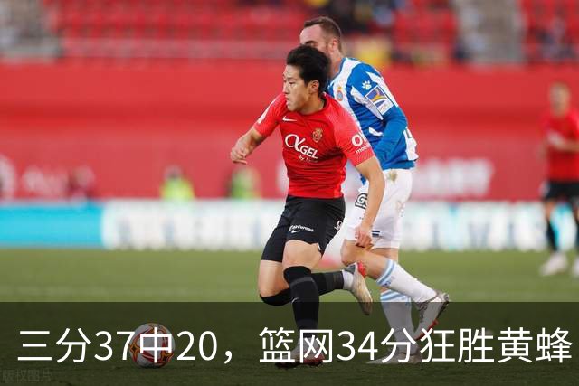 三分37中20，篮网34分狂胜黄蜂！兰德尔首秀砍13分领衔4大亮点