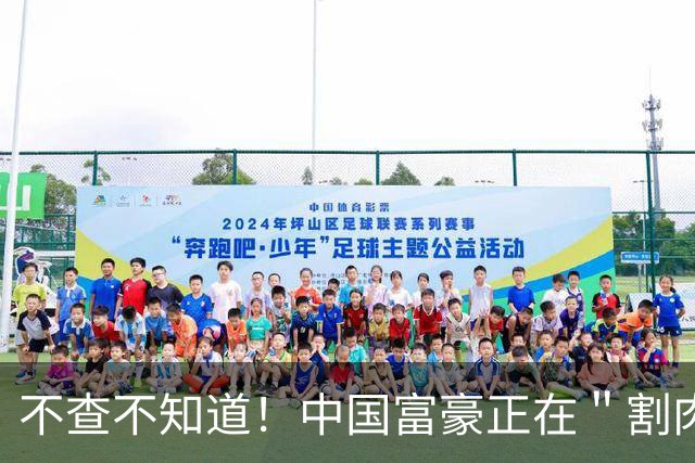 不查不知道！中国富豪正在＂割肉＂补税，卢麒元的话终于有人信了