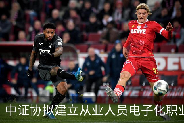中证协拟建立从业人员电子化职业道德档案 覆盖招录至离职全周期