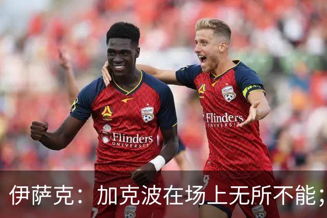 伊萨克：加克波在场上无所不能；瑞典全队都很认可波特