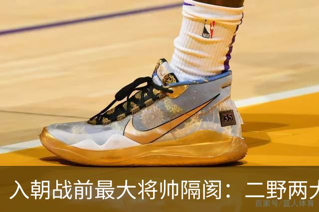入朝战前最大将帅隔阂：二野两大猛将闹私怨，刘伯承无奈出面调停
