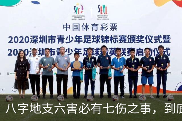 八字地支六害必有七伤之事，到底是哪七伤呢？