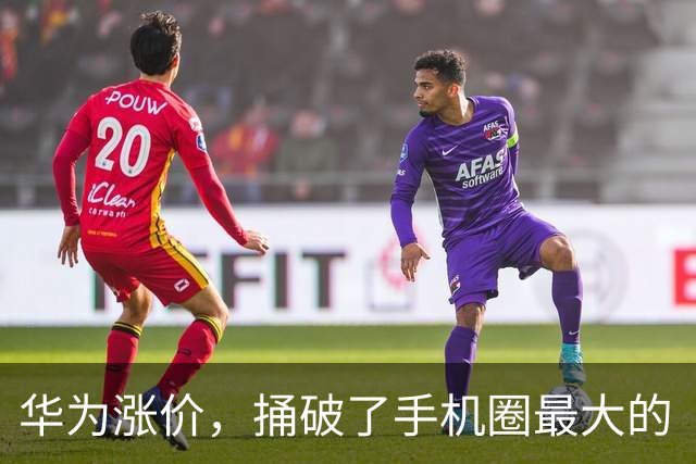 华为涨价，捅破了手机圈最大的“谎言”
