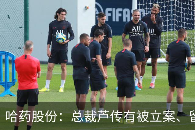 哈药股份：总裁芦传有被立案、留置
