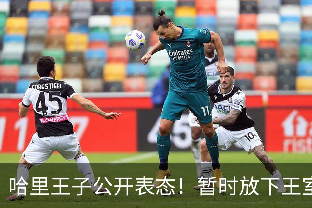 哈里王子公开表态！暂时放下王室身份，查尔斯国王强势定调