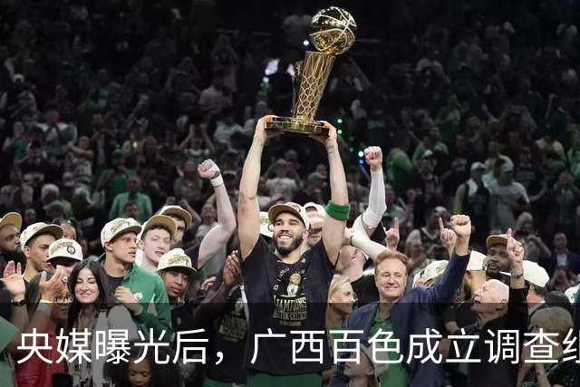 央媒曝光后，广西百色成立调查组