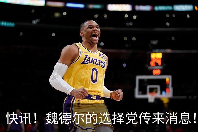 快讯！魏德尔的选择党传来消息！