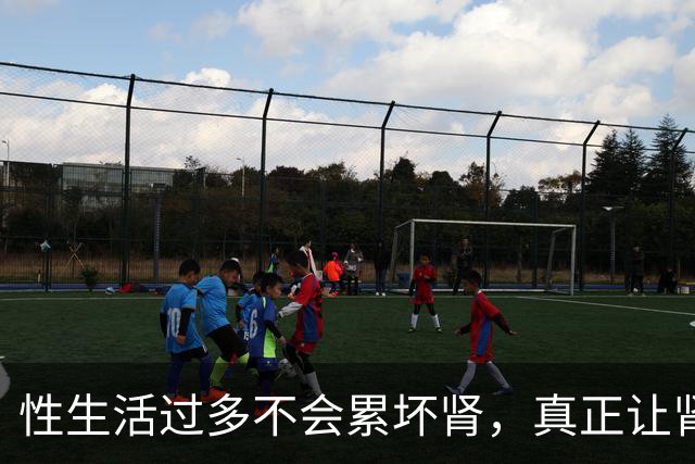 性生活过多不会"累"坏肾，真正让肾报废的事可能每天都在做