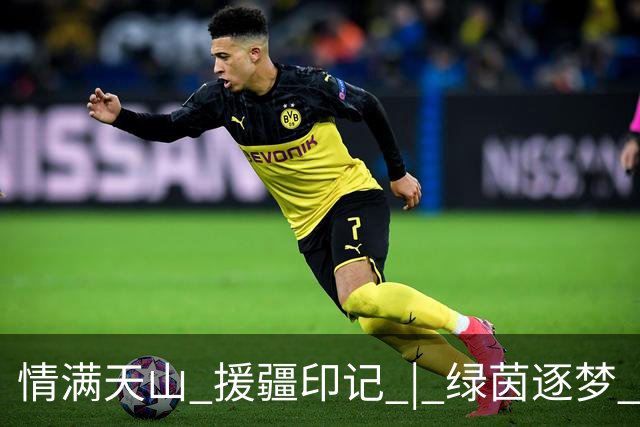 情满天山 援疆印记 | 绿茵逐梦 三冠加冕！巩留“蝶城少年”闪耀2026超级菁英杯武汉站