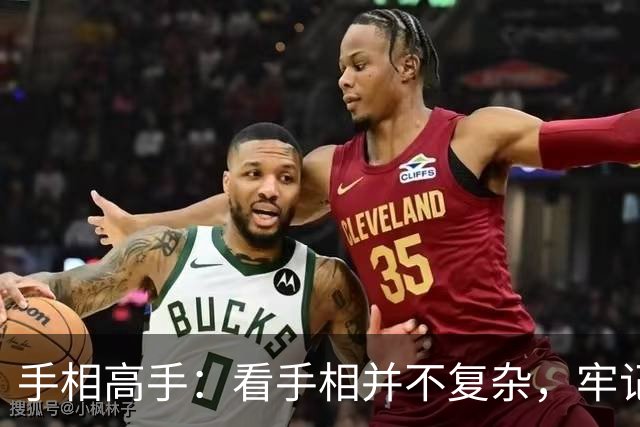 手相高手：看手相并不复杂，牢记这三条基本线，就能看清一生大运