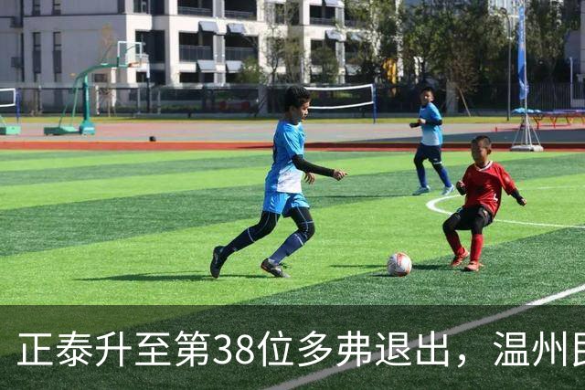 正泰升至第38位多弗退出，温州民企一进一退说明了什么？