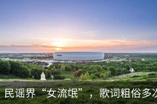 民谣界“女流氓”，歌词粗俗多次抄袭，如今这般下场也活该！