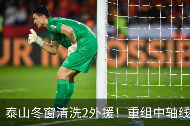 泰山冬窗清洗2外援！重组中轴线，唐田让位，明年要来德国主帅？