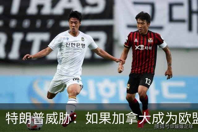 特朗普威胁：如果加拿大成为欧盟“准成员”，可能停止美欧贸易