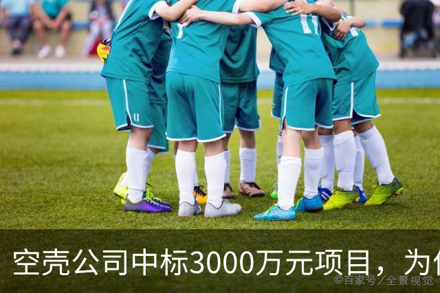 空壳公司中标3000万元项目，为何程序严谨而结果荒诞