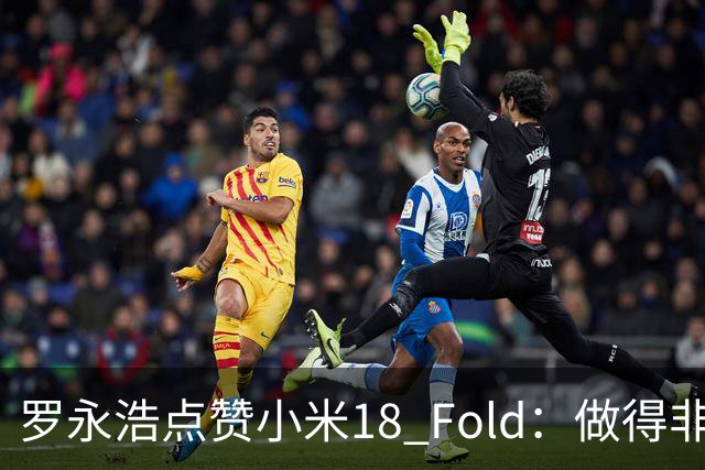 罗永浩点赞小米18 Fold：做得非常漂亮！