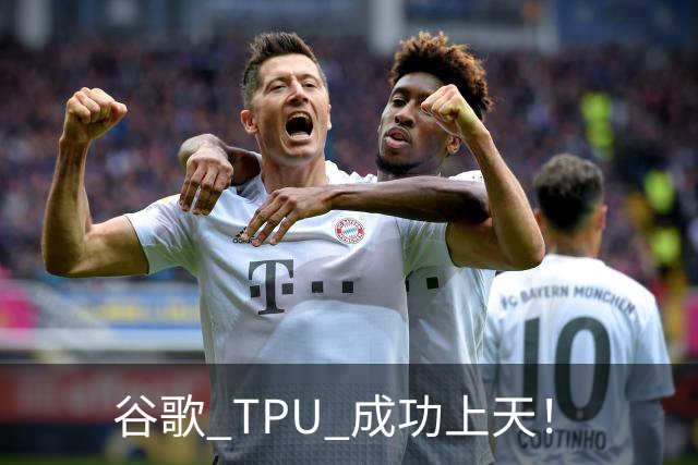 谷歌 TPU 成功上天！