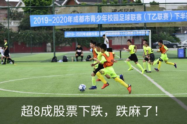 超8成股票下跌，跌麻了！