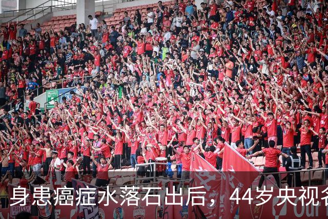 身患癌症水落石出后，44岁央视名嘴杨帆，如今换了另一条路走