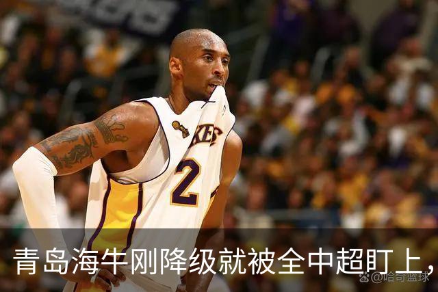 青岛海牛刚降级就被全中超盯上，主帅想走外援不愿踢中甲